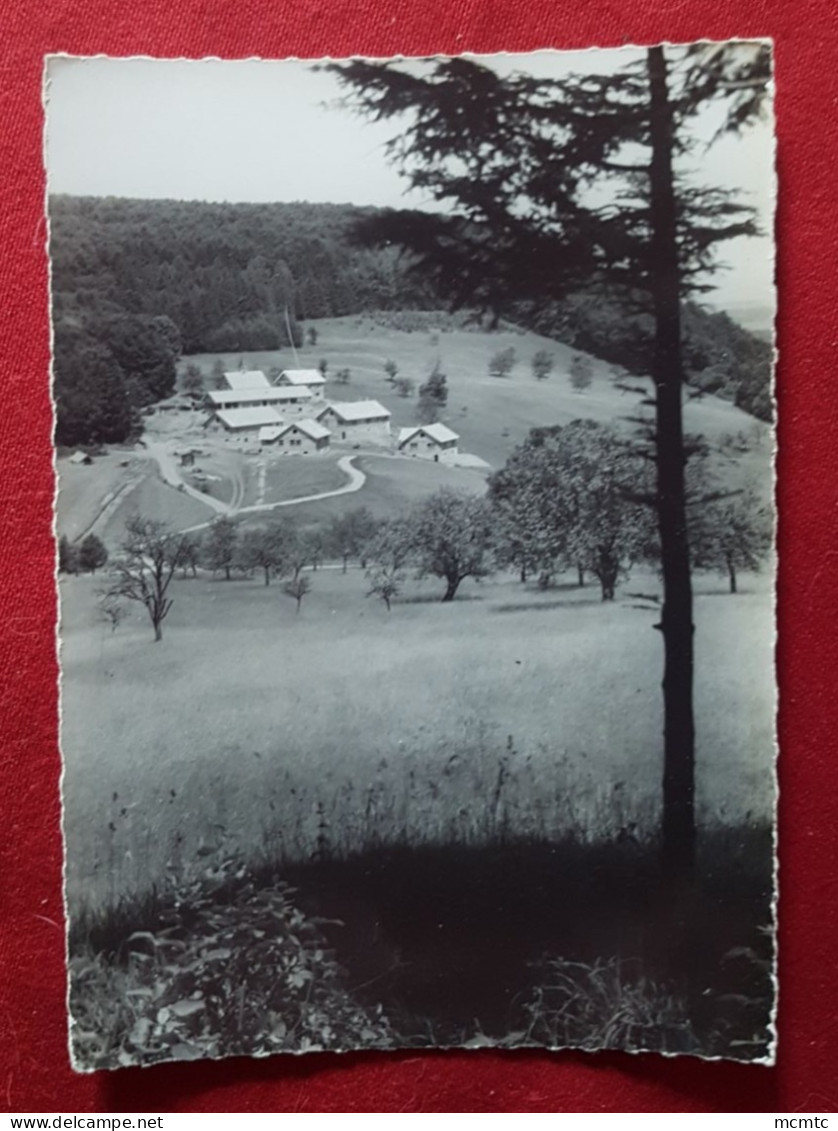 CPSM Grand Format - Ferrette , Jura Alsacien - Colonie De Vacances "Joie Et Santé " Don Bosco - Ferrette