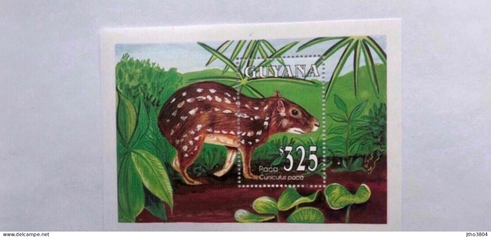 GUYANE 1993 Bloc Neuf ** MNH YT BF 2882 Mi Bl 245 Mammifère Mammal Mamífero Saügetier GUYANA - Wild