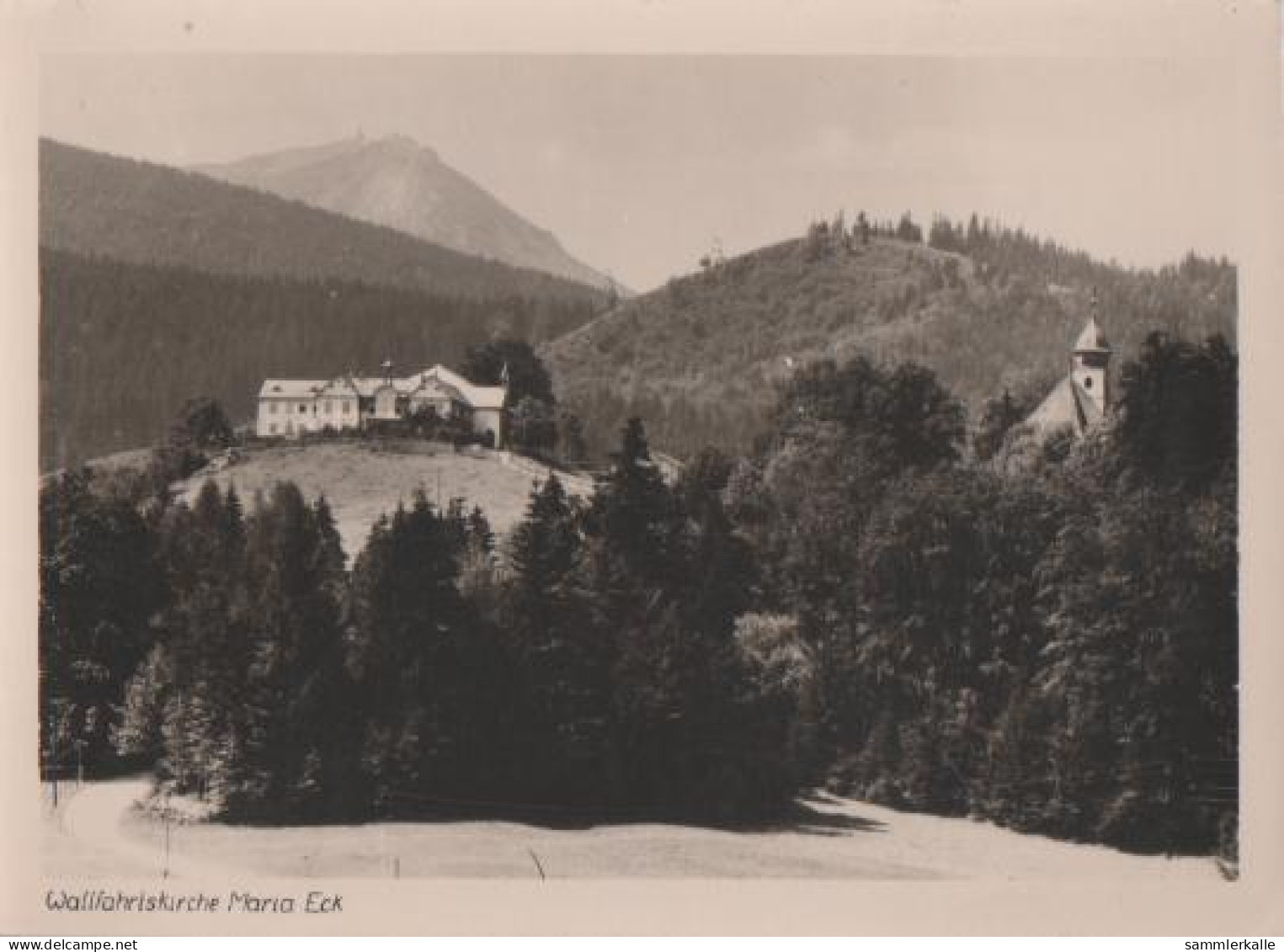 23278 - Siegsdorf - Wallfahrtskirche Maria Eck - Ca. 1955 - Traunstein