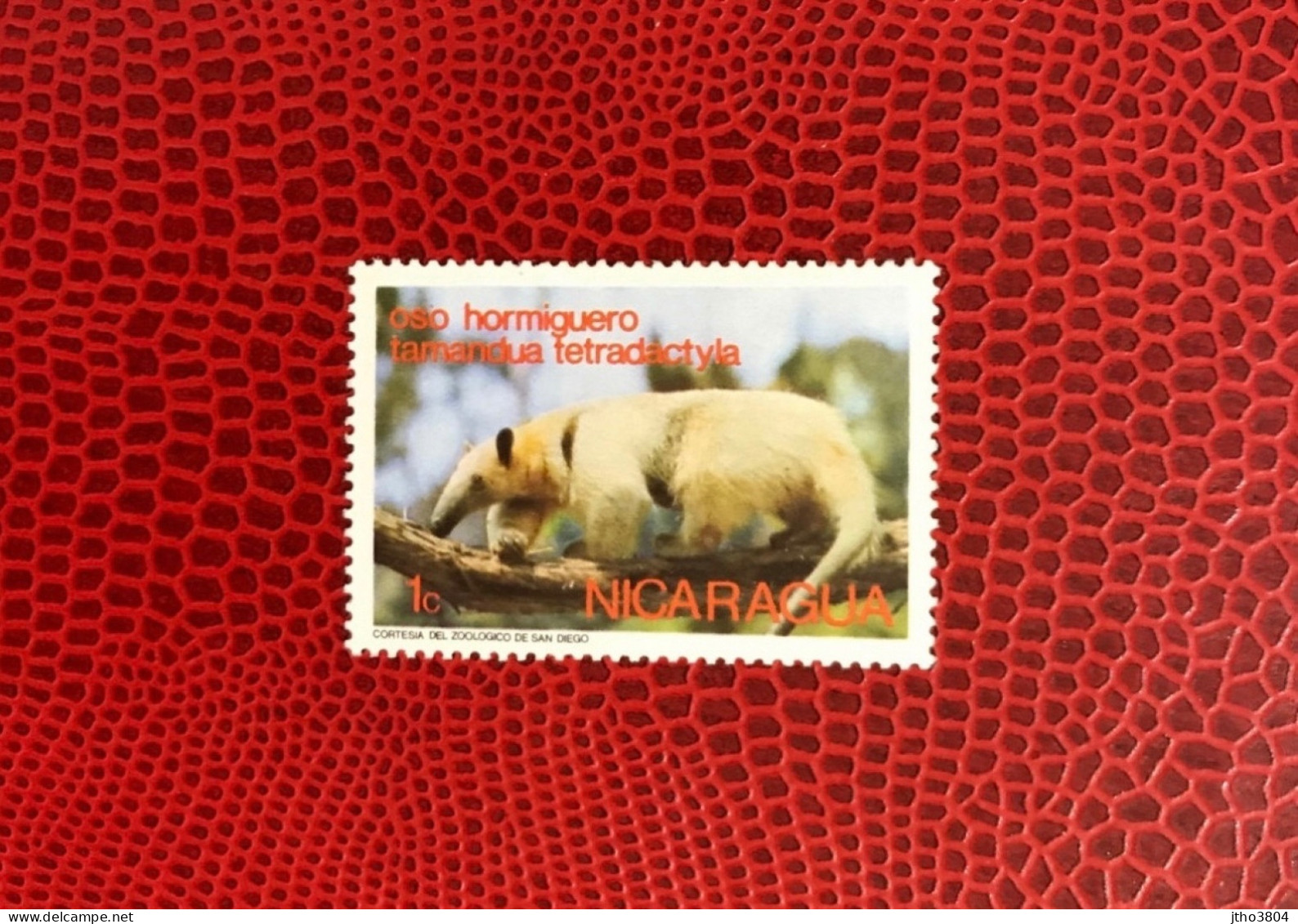 NICARAGUA 1974 1v Neuf MNH Mi Mamíferos Mammals Säugetiere Mammiferi Mammifère - Papillons