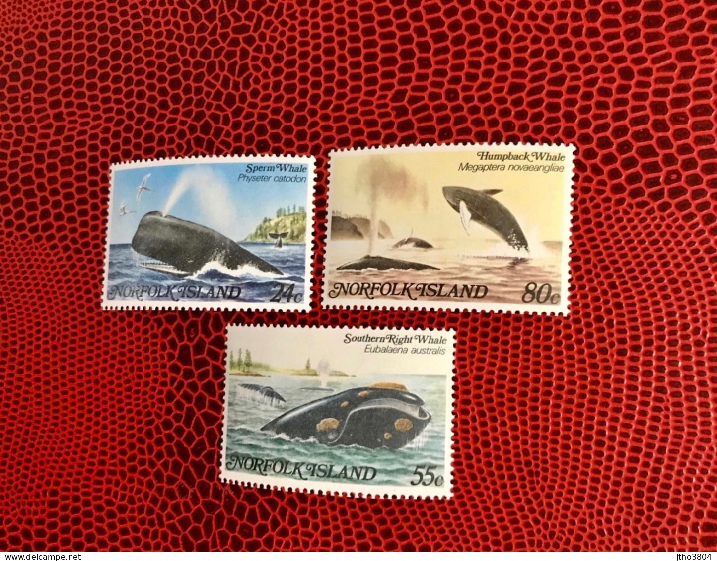 NORFOLK 1982 3v Neuf MNH ** YT Mi 286 / 288 Pájaro Bird Pássaro Vogel Ucello Oiseau - Whales