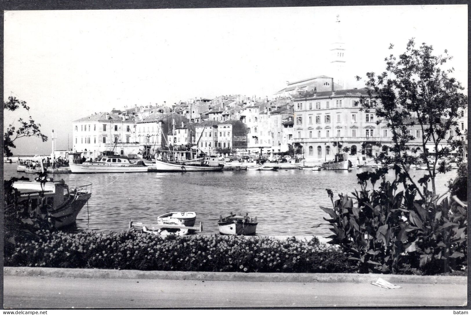 513 - Croatia - Rovinj 1965 - Port - Postcard - Croatie