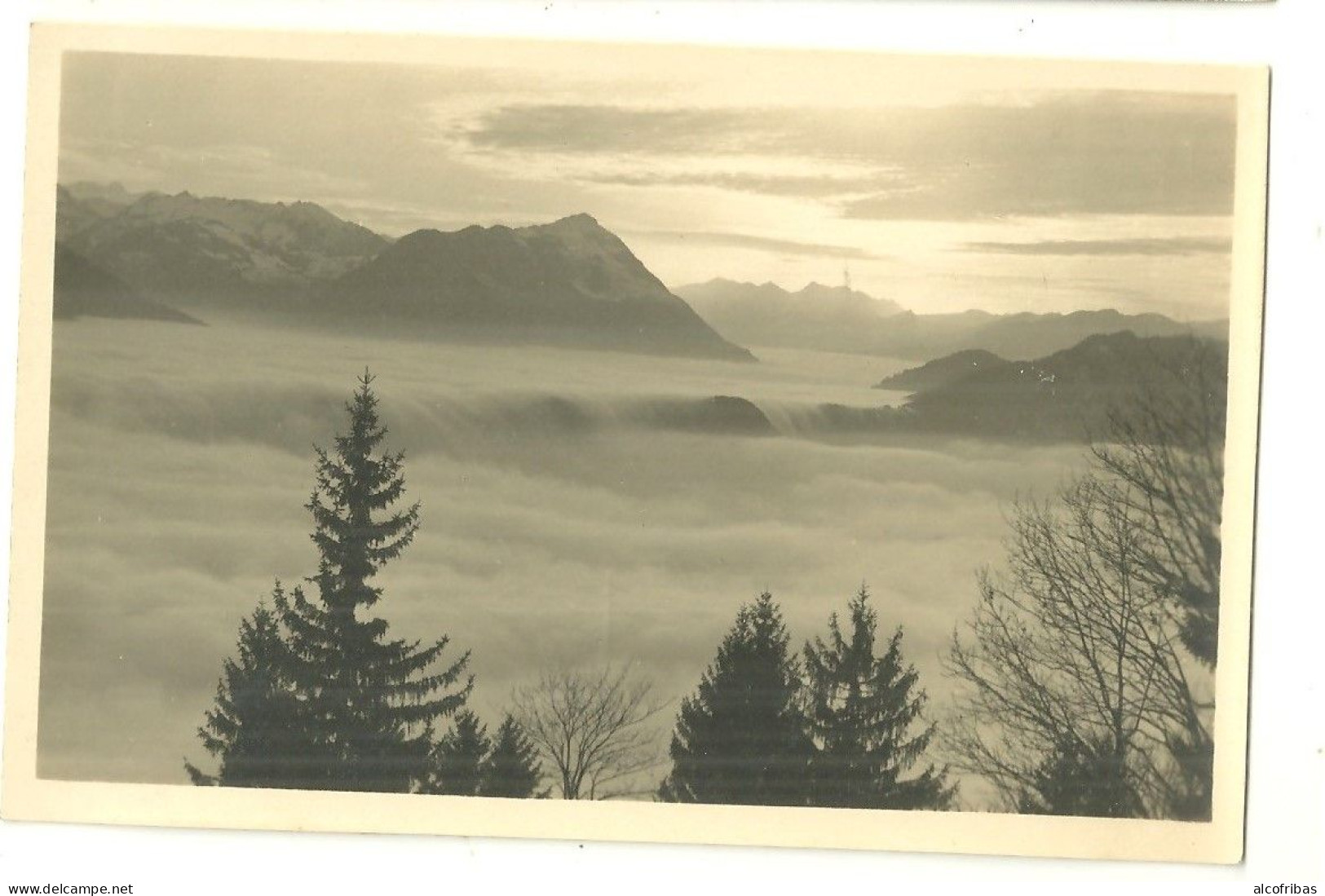 CPA Photo  Rigi Kaltbad Burgenstock Mer De Brouillard De Nuages Nebelmeer - Riggisberg 