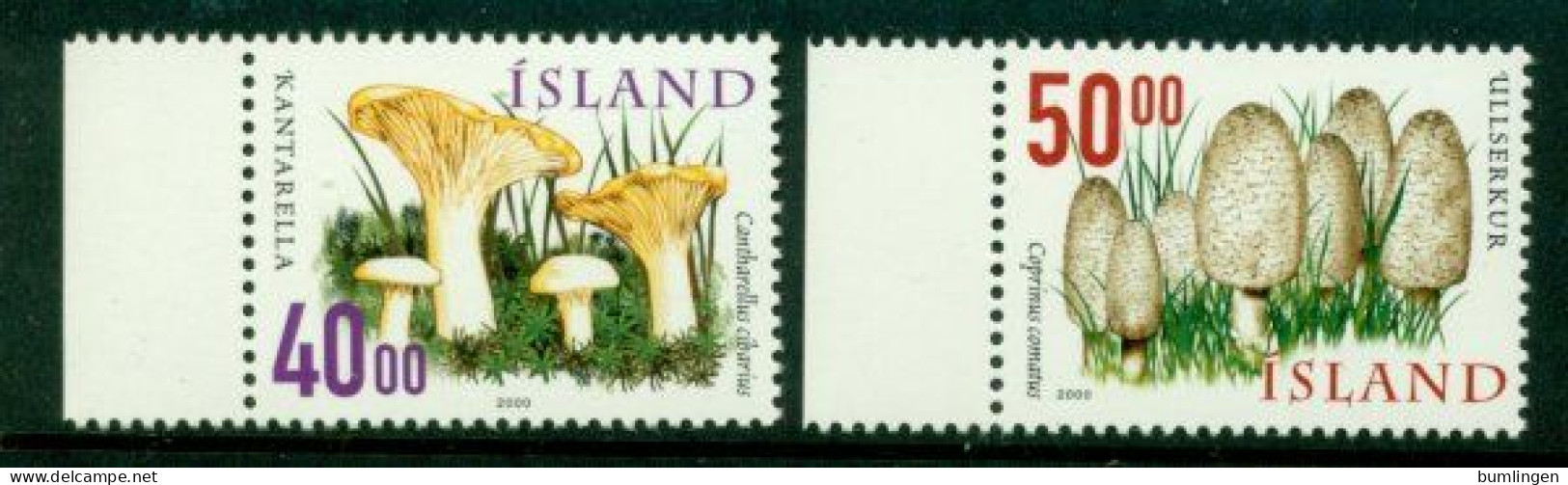 ICELAND 2000 Mi 943-44** Mushrooms [B611] - Champignons