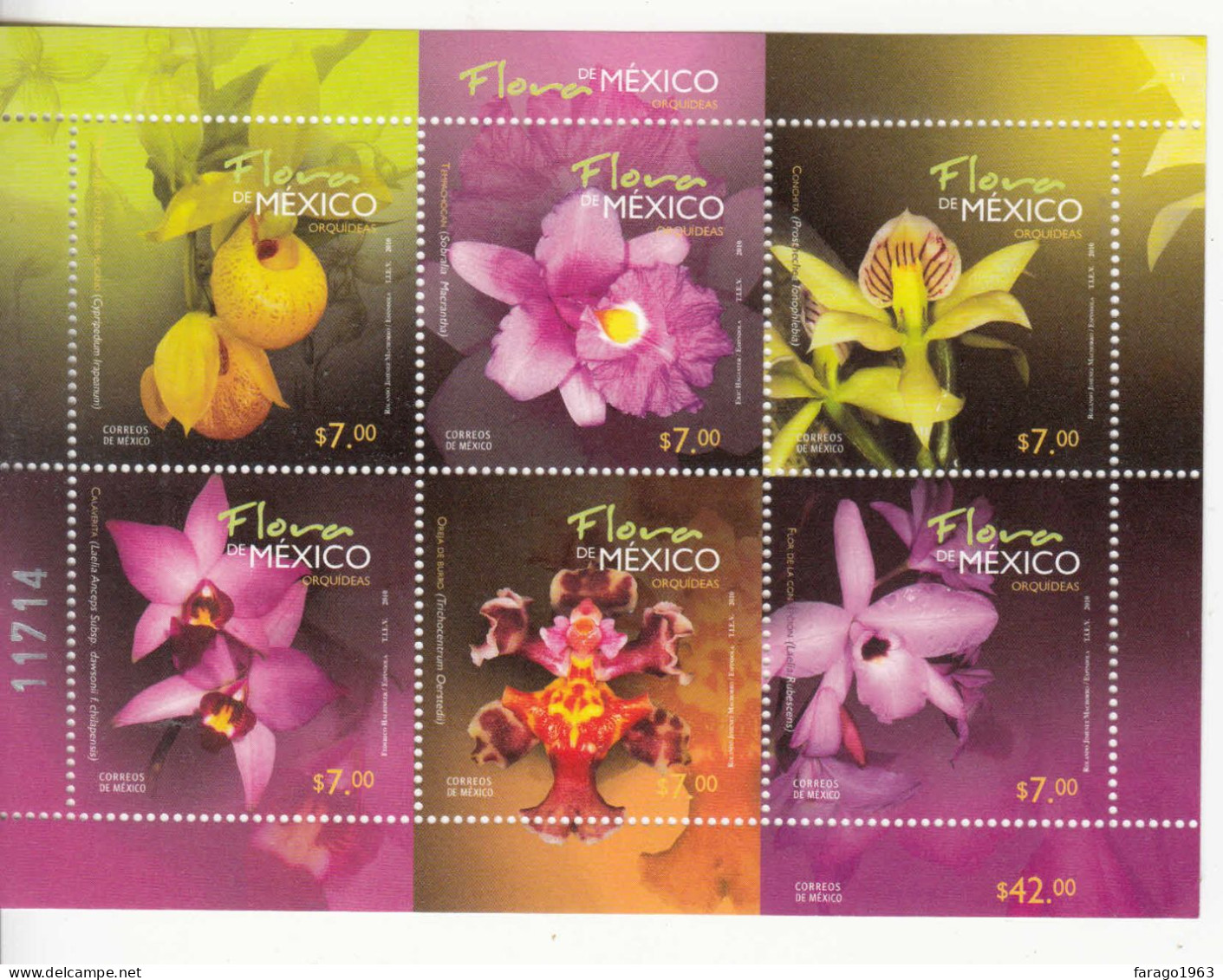 2010 Mexico Orchids Flowers Fleurs Miniature Sheet Of 6 MNH - Mexique