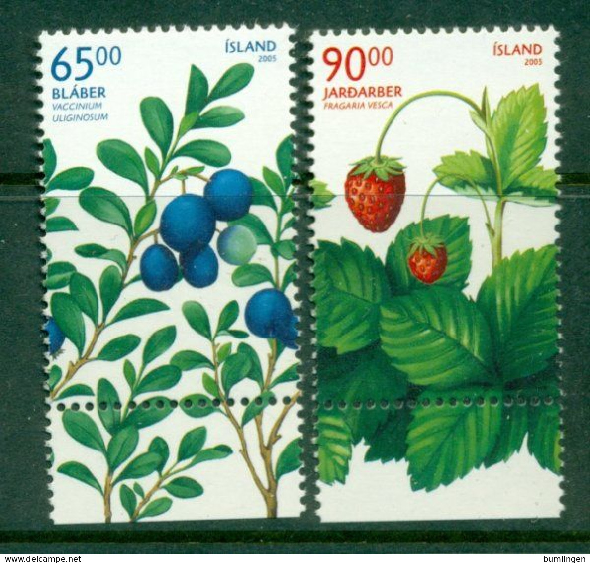 ICELAND 2005 Mi 1107-07** Wild Berries [B621] - Fruit