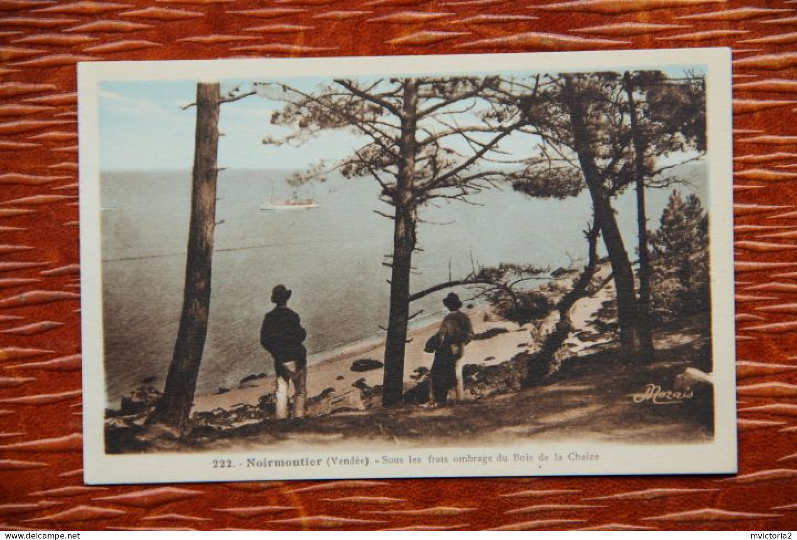 85 - ILE DE NORMOUTIER : Sous Les Frais Ombrage Du Bois De CHAIZE - Ile De Noirmoutier