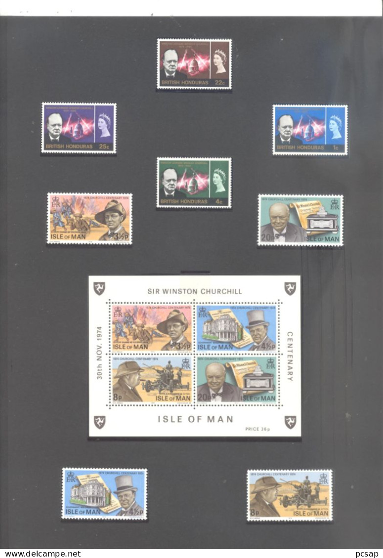 Album YT de plus de 470 timbres et blocs neufs sur Sir Winston Churchill (TBE)