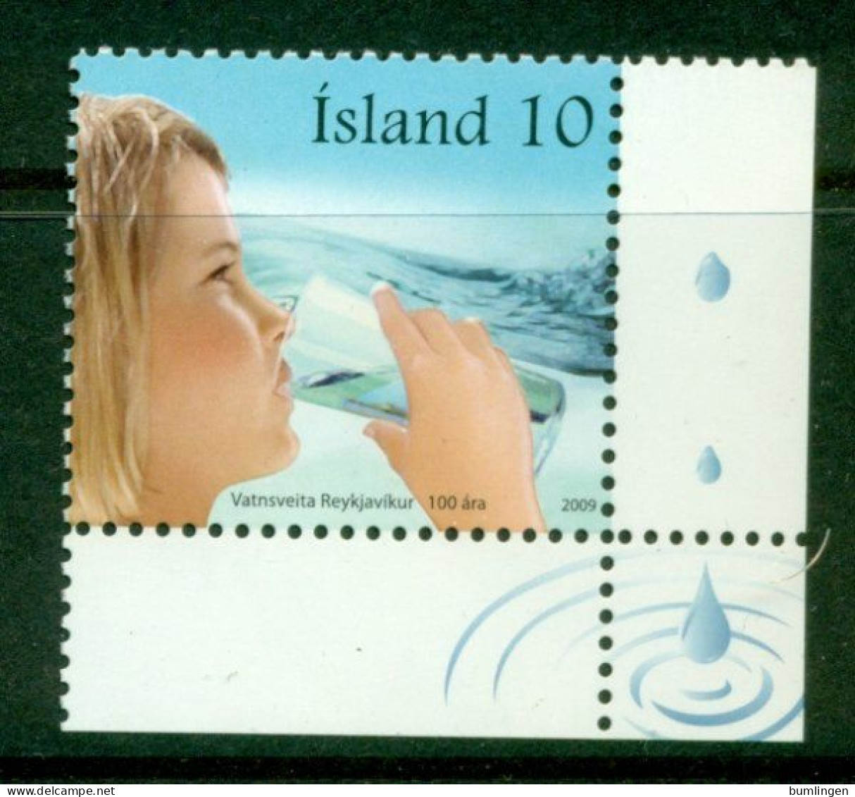 ICELAND 2009 Mi 1239** 100th Anniversary Of Water Supply [B643] - Umweltschutz Und Klima