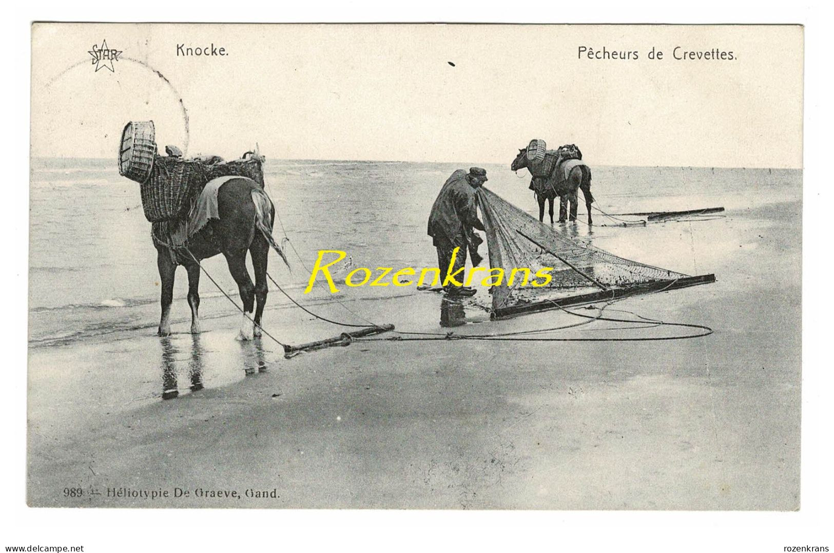 Knocke (Knokke) Les Pêcheurs De Crevettes Garnaalvissers Te Paard ZELDZAAM (In Zeer Goede Staat) - Knokke