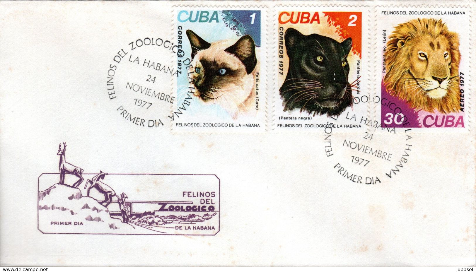 CUBA, FDC, House Cat, Panther, Lion   /  Lettre De Première Jour, Chat Domestique, Panthère, Lion    1977 - Altri & Non Classificati