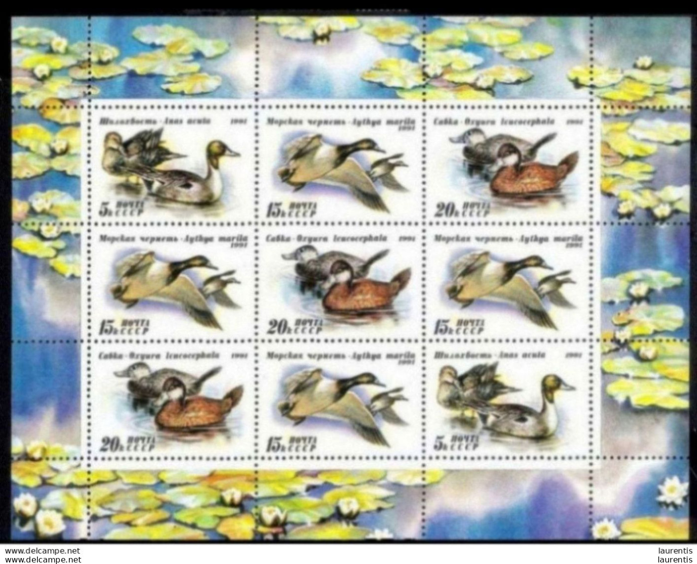 14645  Ducks - Canards - Russia - Minisheet - MNH - 2,25 - Ducks