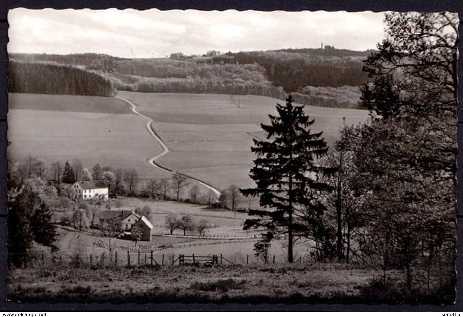 AK Lüdenscheid Sauerland Blick Zum Homertturm Echt Foto    (6972 - Andere & Zonder Classificatie