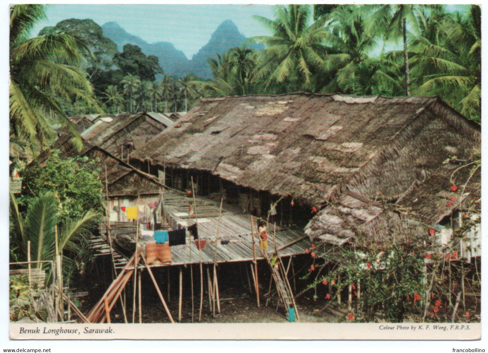 MALAYSIA - BENUK LONGHOUSE, SARAWAK (PUB. JOHN HINDE) / THEMATIC STAMPS-BUTTERFLIES - Malaysia