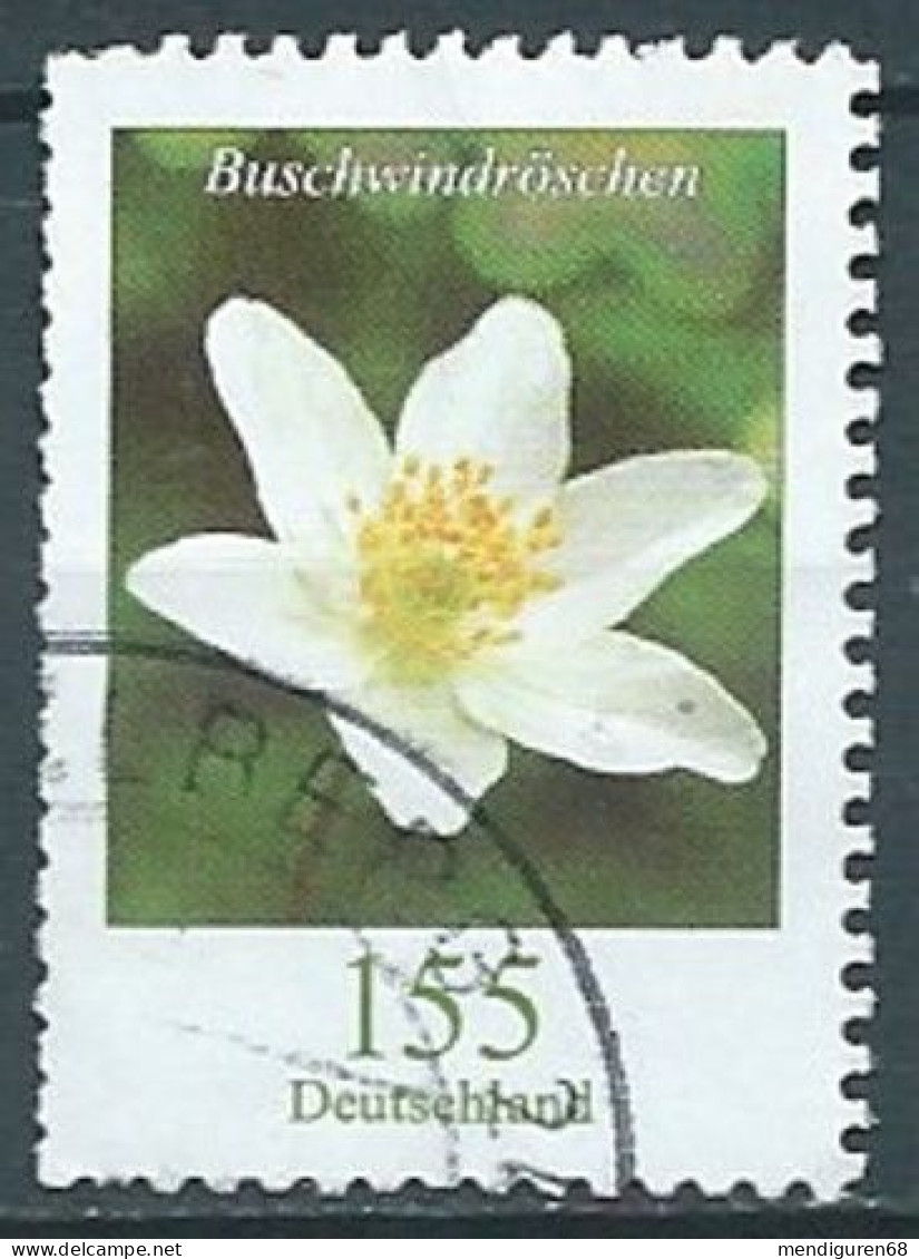 ALLEMAGNE ALEMANIA GERMANY DEUTSCHLAND BUND 2019 BLUMEN FLOWERS: WOOD ANEMONE USED MI 3472 YT 3250 SN 3107 SG Y3337a - Gebraucht