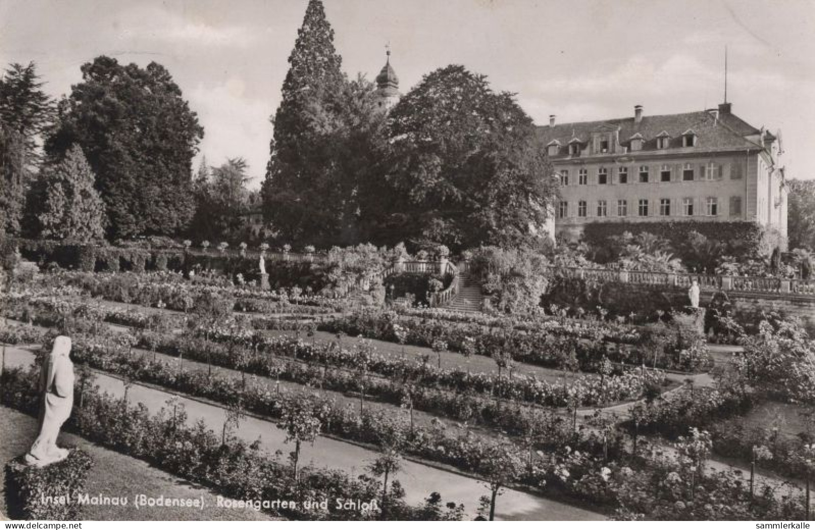 134374 - Mainau - Rosengarten - Konstanz