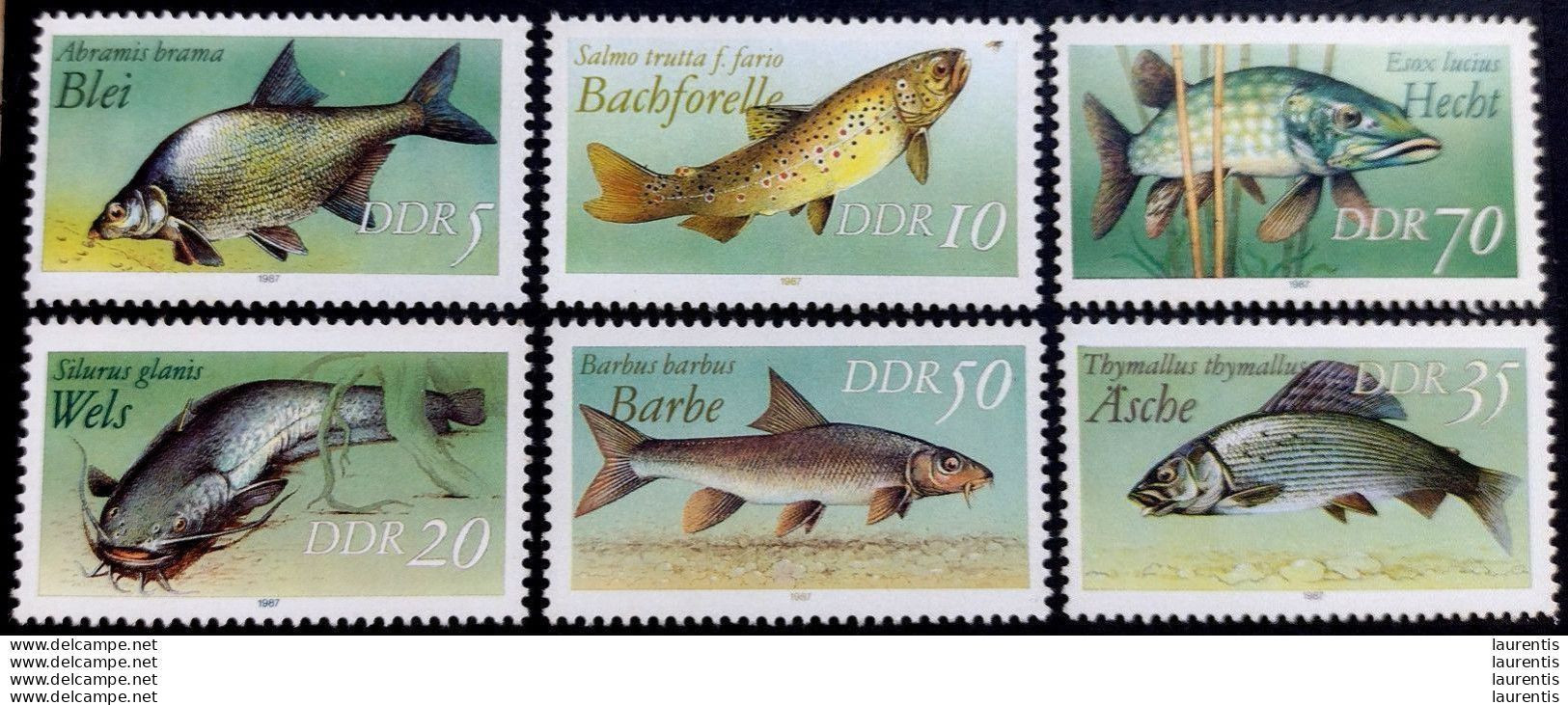 D1301   Fishes - Poissons - DDR MNH - 1,25 - Peces