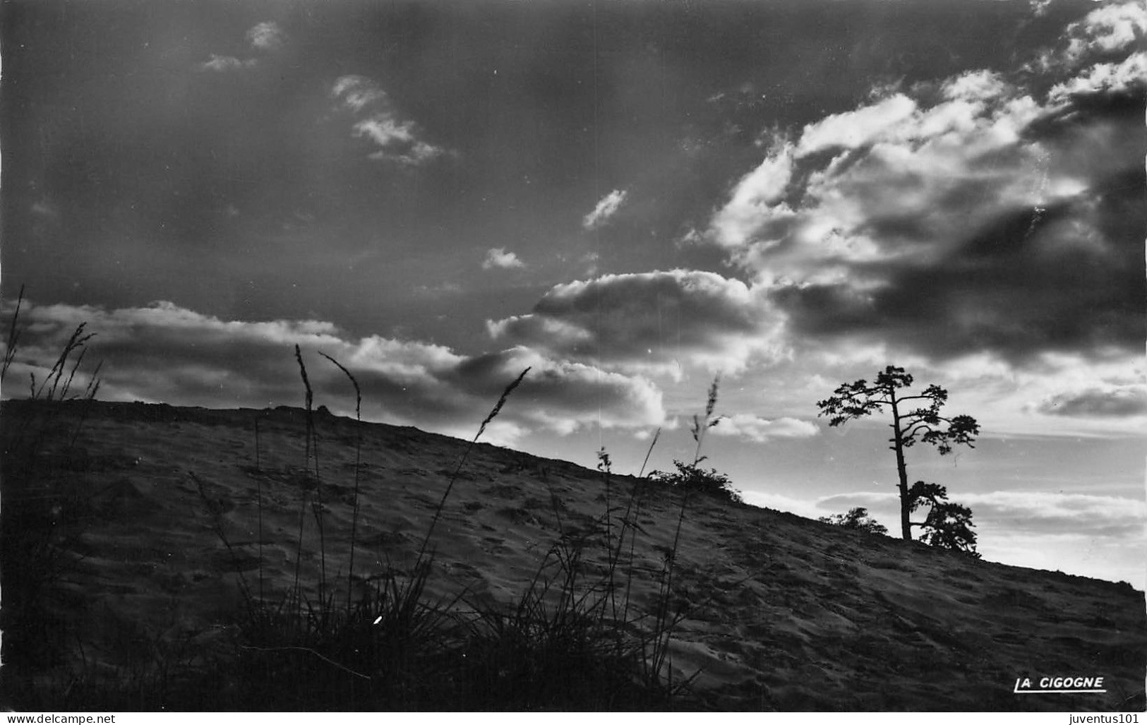 CPSM Le Touquet Paris Plage-Coucher De Soleil-Beau Timbre      L2793 - Le Touquet