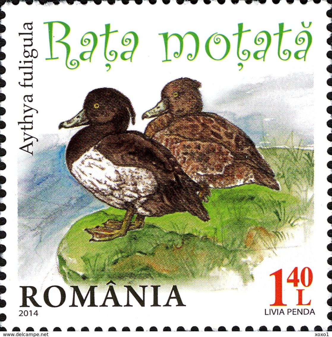 Romania 2014 MiNr. 6803 - 6806 Rumänien WILD DUCKS BIRDS 4 V MNH** 20,00 € - Nuovi