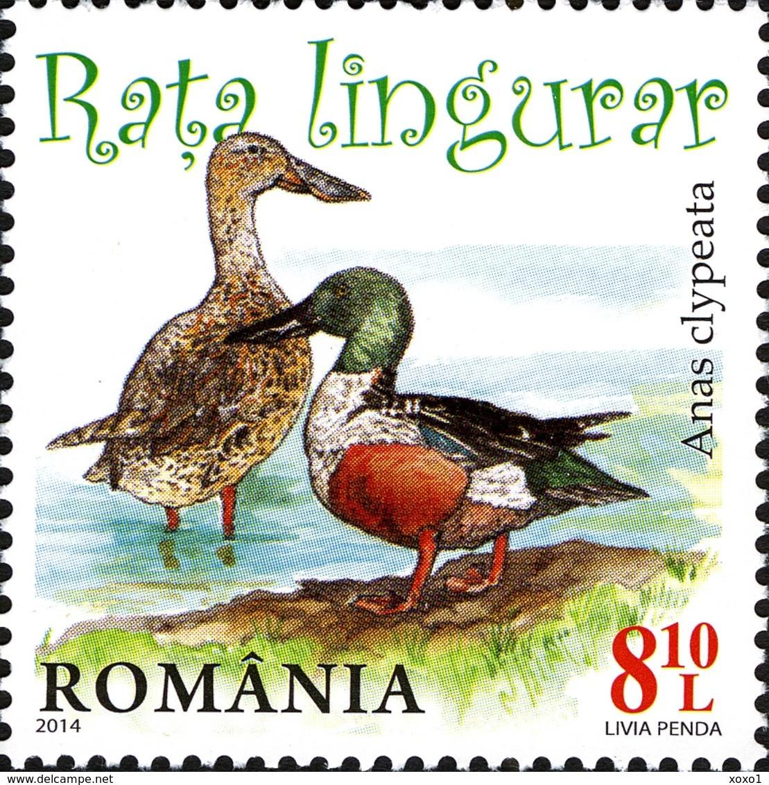 Romania 2014 MiNr. 6803 - 6806 Rumänien WILD DUCKS BIRDS 4 V MNH** 20,00 € - Unused Stamps