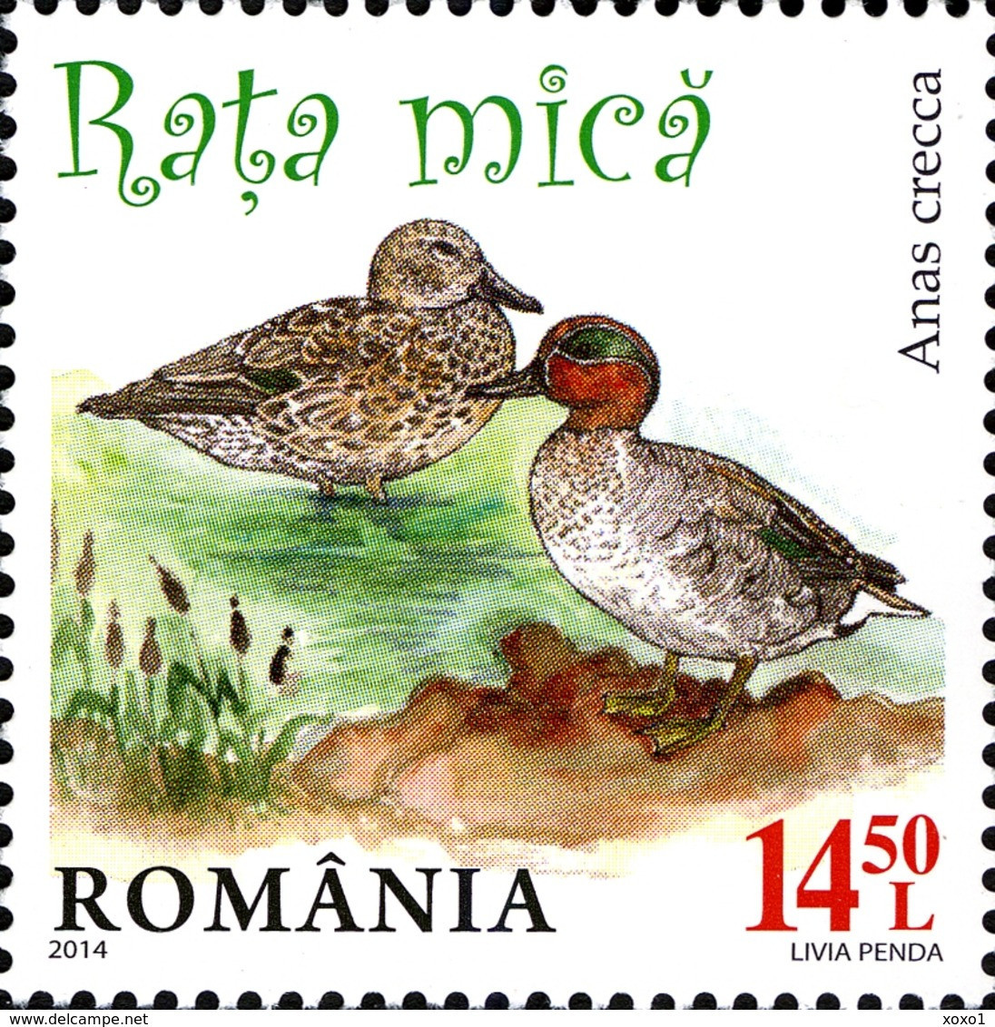 Romania 2014 MiNr. 6803 - 6806 Rumänien WILD DUCKS BIRDS 4 V MNH** 20,00 € - Unused Stamps