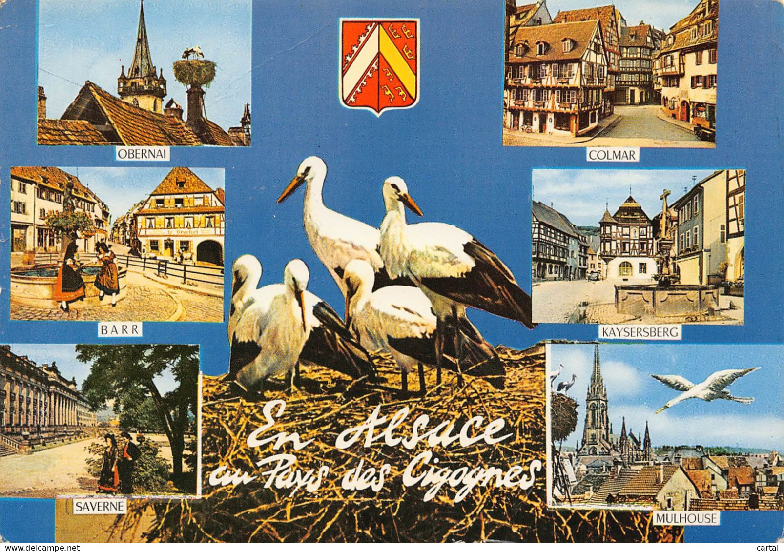 CPM - En Alsace Au Pays Des Cigognes - Alsace