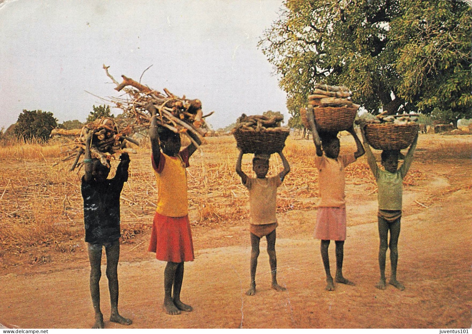 CPSM Burkina Faso-Des Enfants Portent Le Bois     L2794 - Burkina Faso