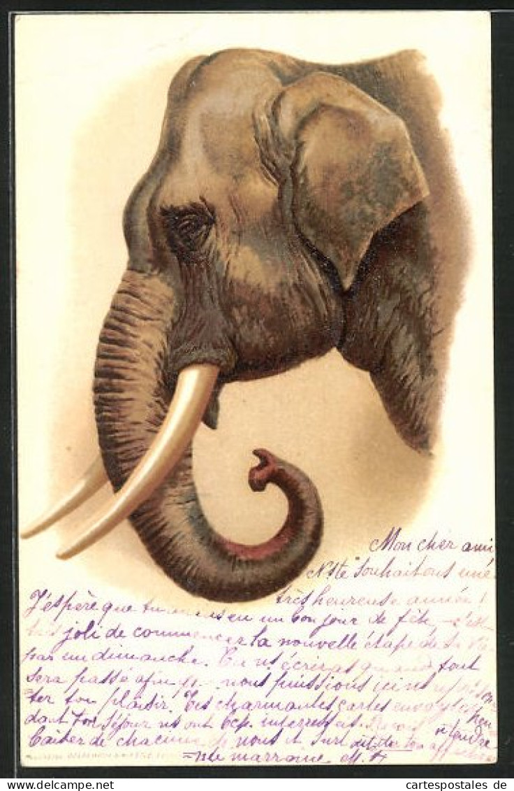 Künstler-AK Elefantenkopf Im Profil  - Elephants