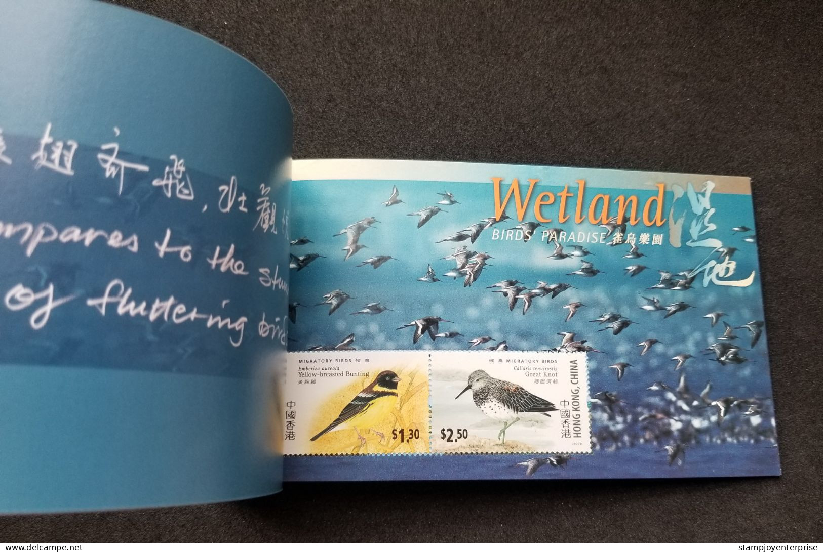 Hong Kong Wetland Bird Paradise 2000 Duck Spoonbill Birds Fauna (booklet) MNH - Unused Stamps