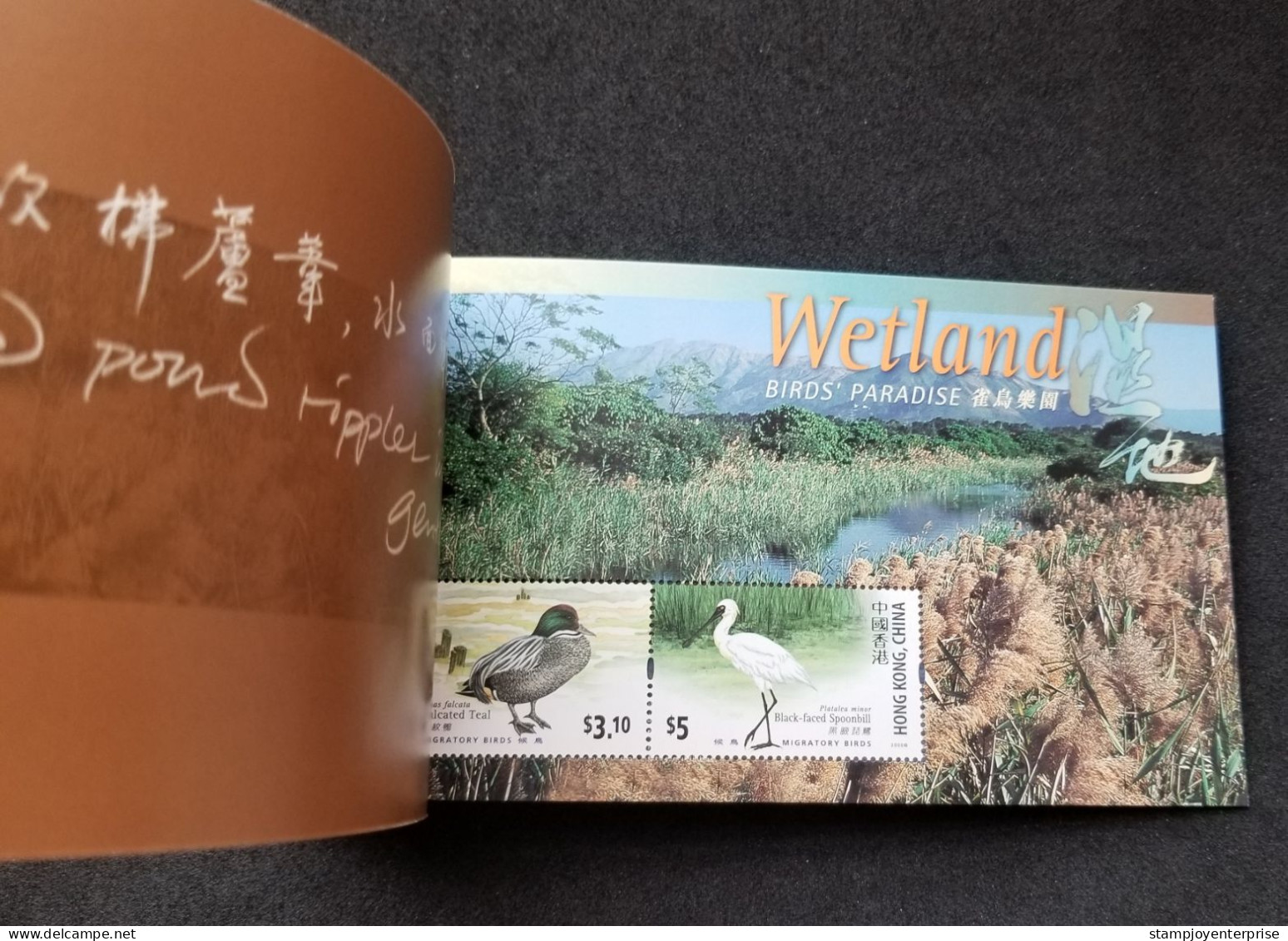 Hong Kong Wetland Bird Paradise 2000 Duck Spoonbill Birds Fauna (booklet) MNH