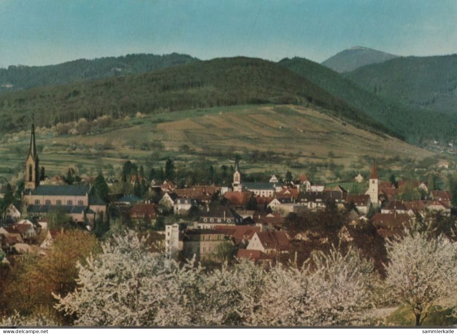 42374 - Müllheim - Belchenblick - 1985 - Muellheim