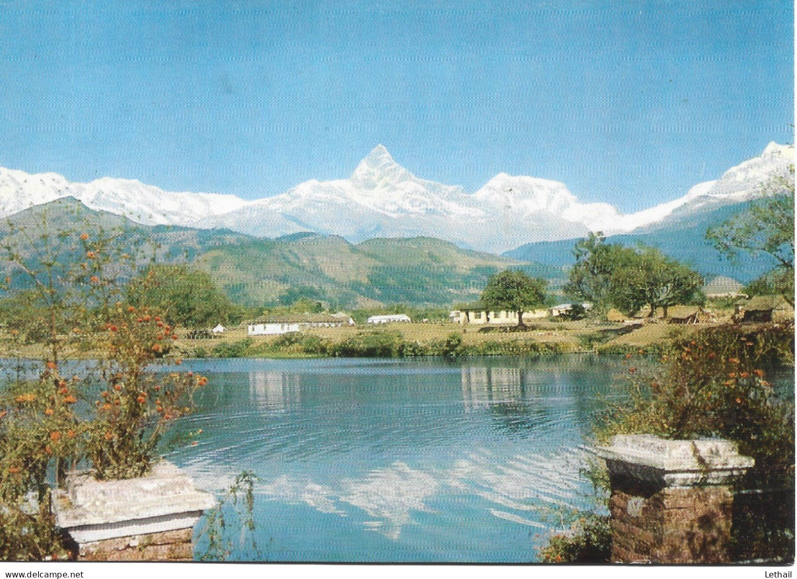 Ref ( 19190  )   Ml Machhapuchare - Nepal