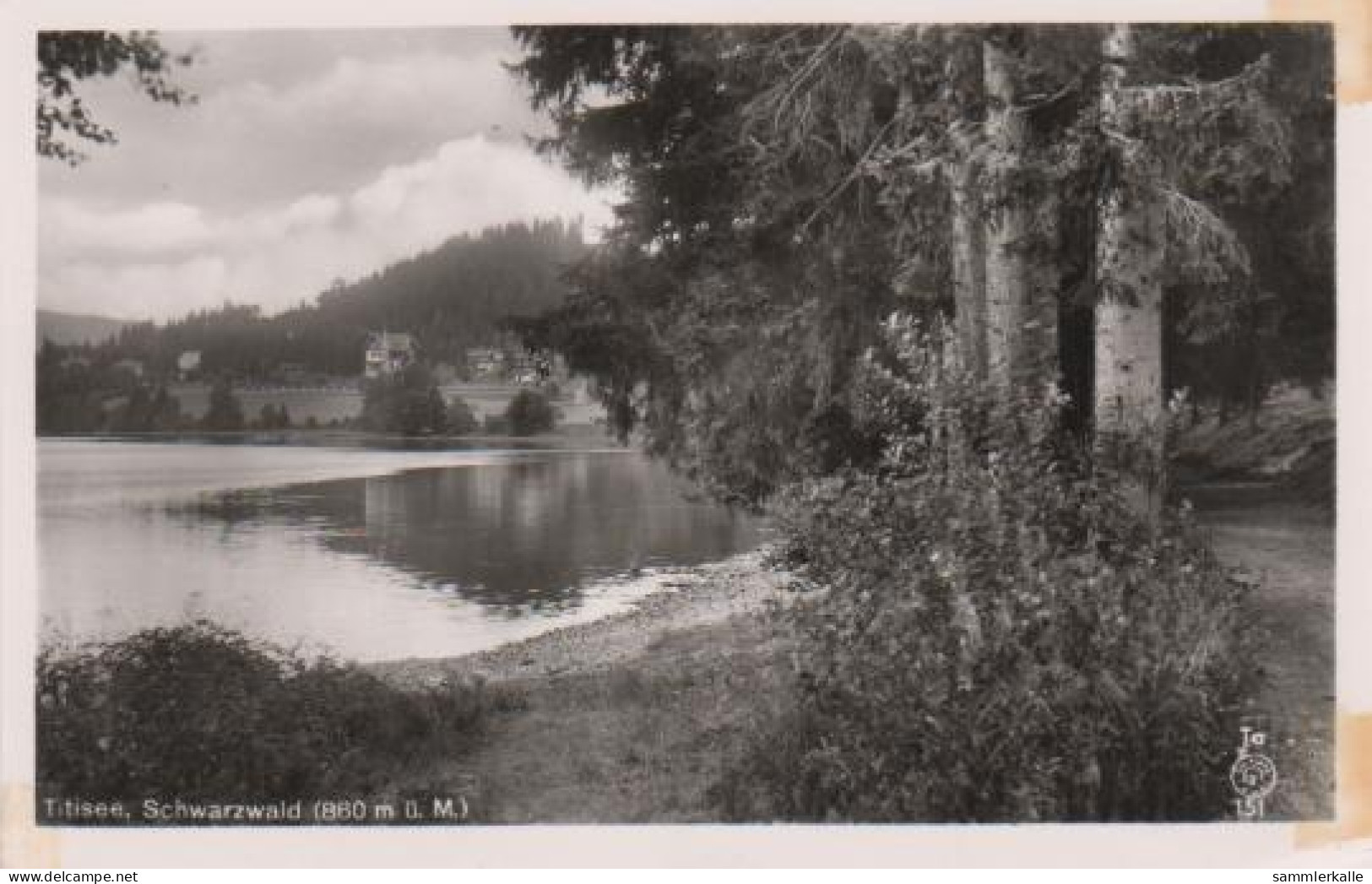 6549 - Titisee - Schwarzwald - Ca. 1965 - Titisee-Neustadt