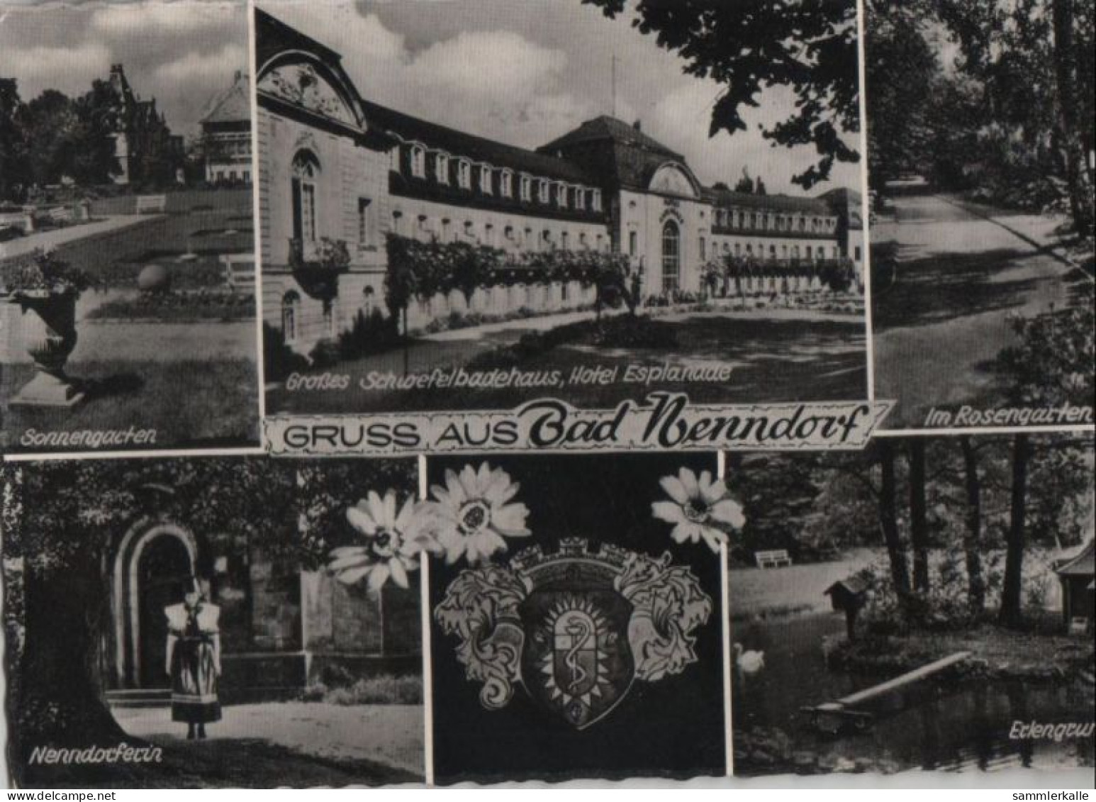 56591 - Bad Nenndorf - U.a. Nenndorferin - 1963 - Bad Nenndorf
