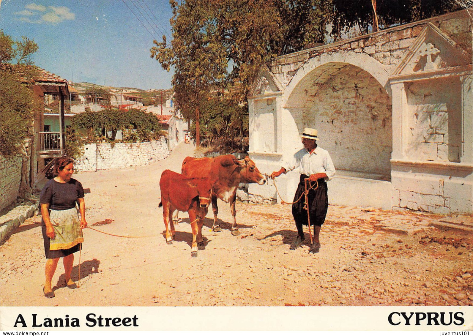 CPSM Cyprus-A Lania Street-Beau Timbre     L2794 - Chipre