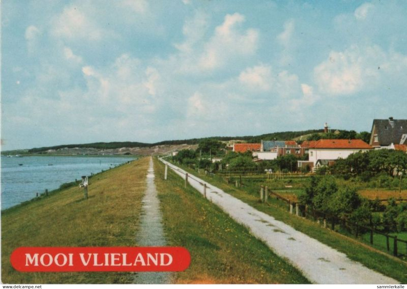 105542 - Niederlande - Vlieland - Ca. 1980 - Vlieland