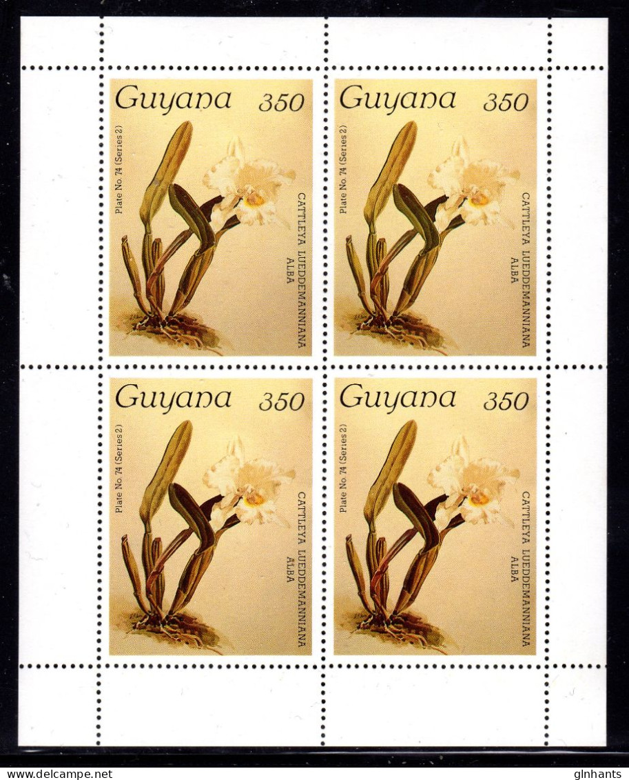 GUYANA - 1988 SANDERS REICHENBACHIA ORCHID FLOWERS 31st ISSUE IN SHEETLET OF 4 FINE MNH ** SG 2328 X 4 - Guyana (1966-...)