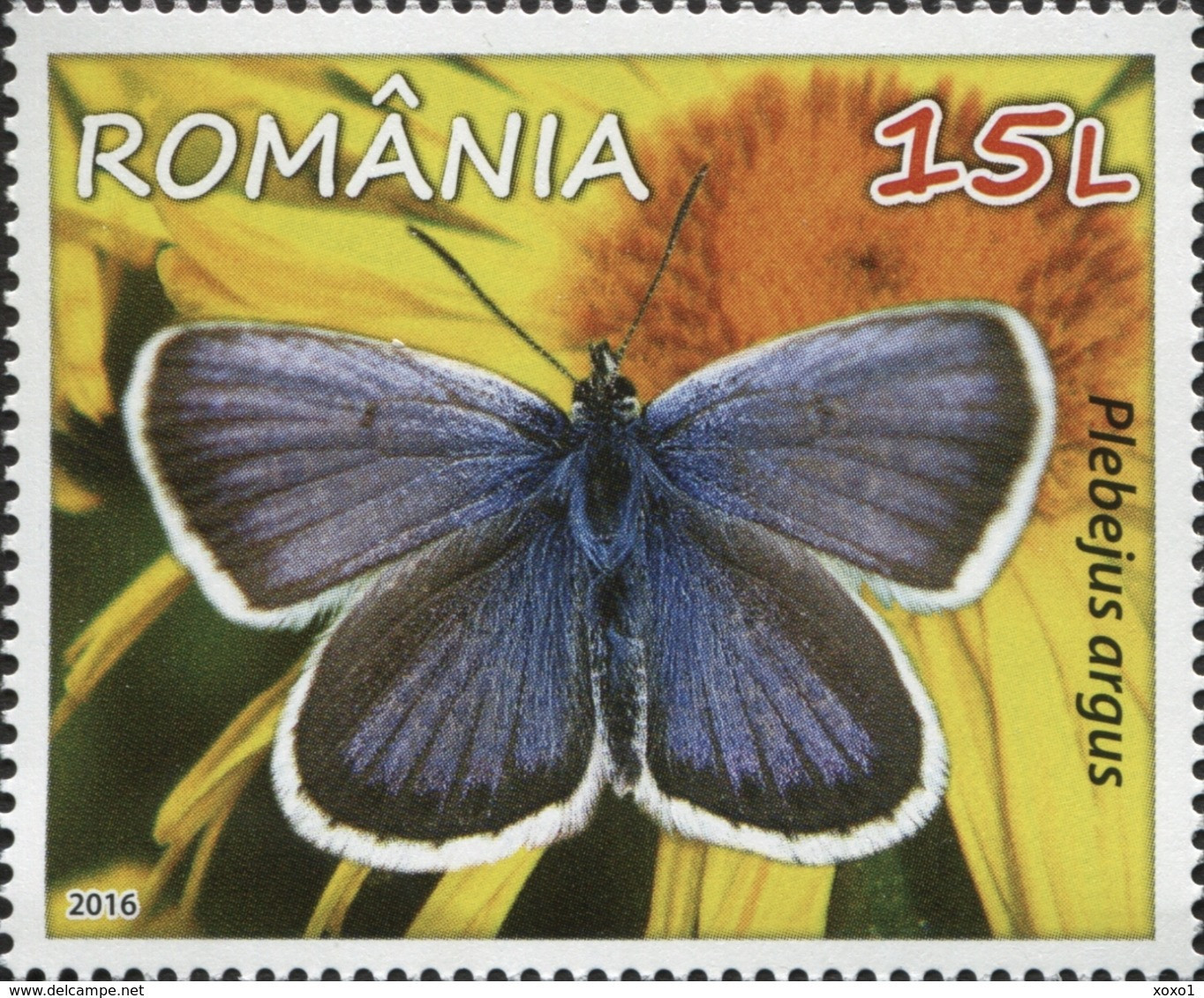 Romania 2016 MiNr. 7060 - 7063 Rumänien Insects BUTTERFLIES Flowers' Wings 4v MNH** 19.00 € - Unused Stamps