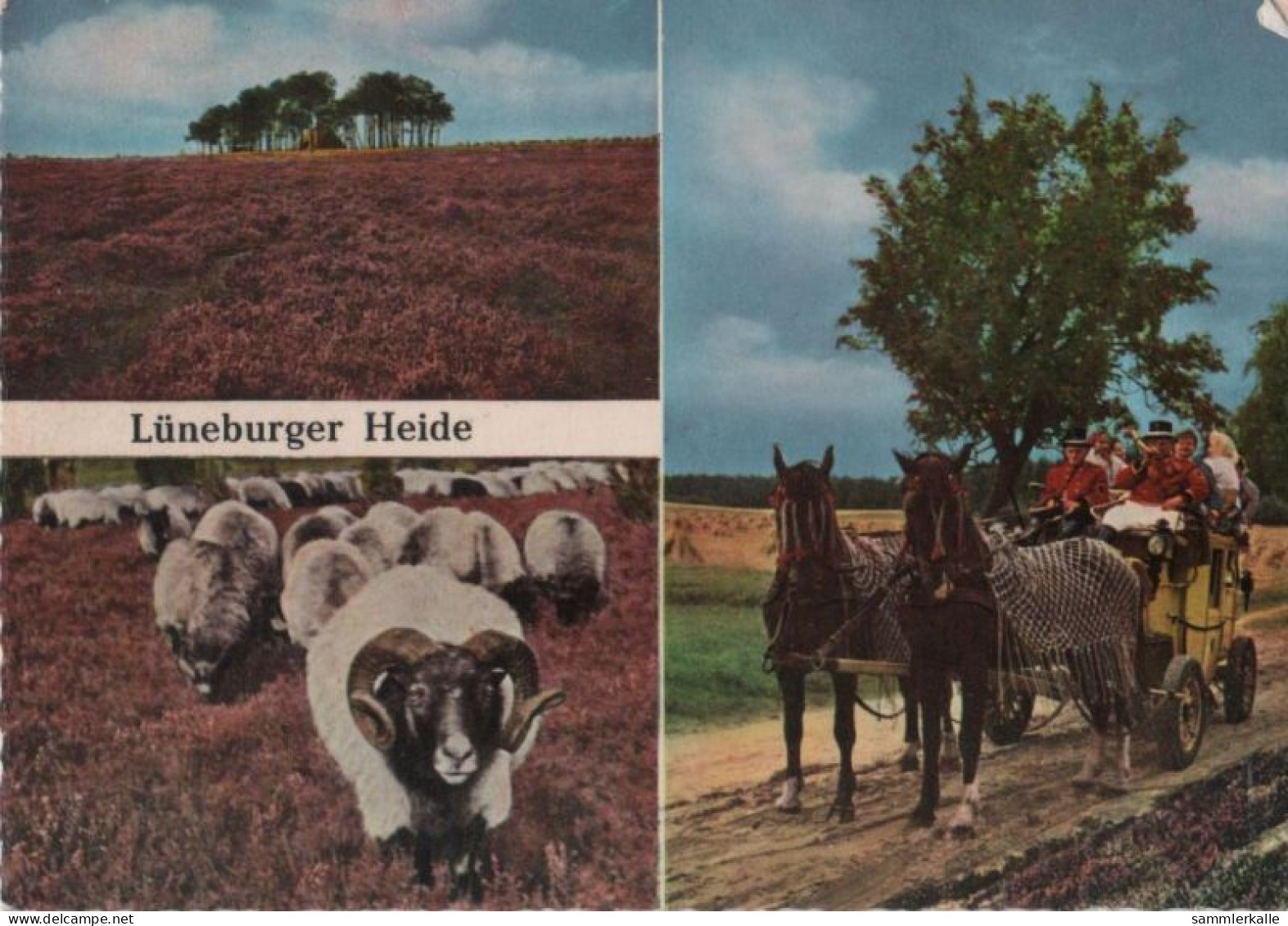 65970 - Lüneburger Heide - Mit Der Postkutsche - 1963 - Lüneburger Heide