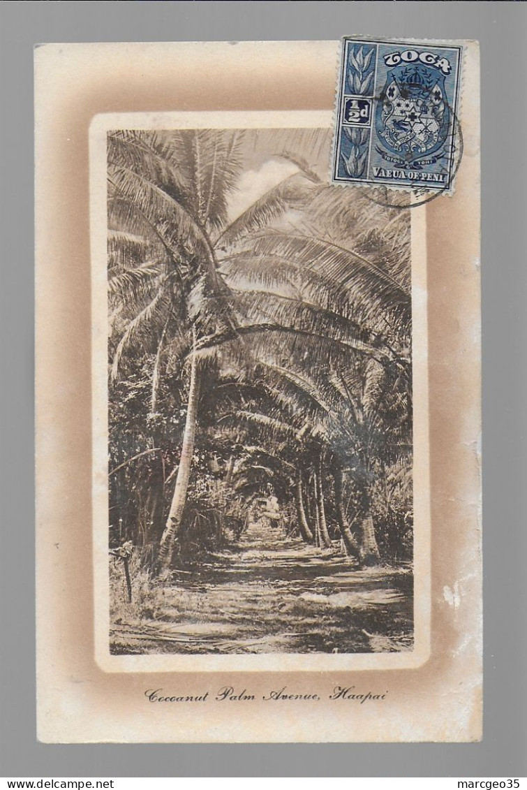 Tonga Toga Cocoanut Palm Avenue Haapai ,  Entier Postal , Stamp Timbre - Tonga