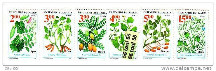 1995  Traditional  Agricultural Crops  6v.- MNH  BULGARIA / Bulgarie - Unused Stamps