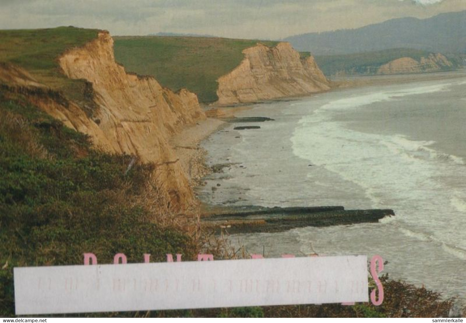 45122 - USA - Point Reyes - 2004 - Other