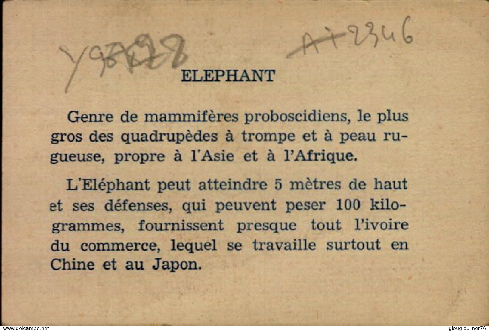 CHROMO..LES MOYENS DE LOCOMOTIONS...ELEPHANT - Altri & Non Classificati