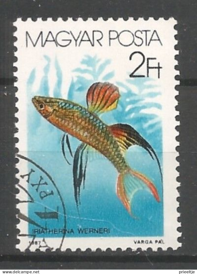 Hungary 1987 Fish Y.T. 3087 (0) - Oblitérés