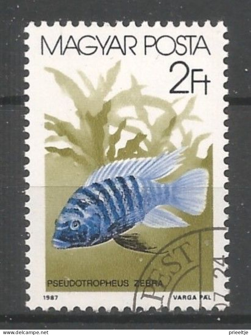 Hungary 1987 Fish Y.T. 3088 (0) - Usati