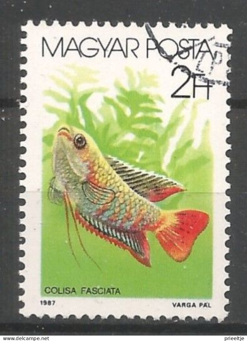 Hungary 1987 Fish Y.T. 3089 (0) - Oblitérés