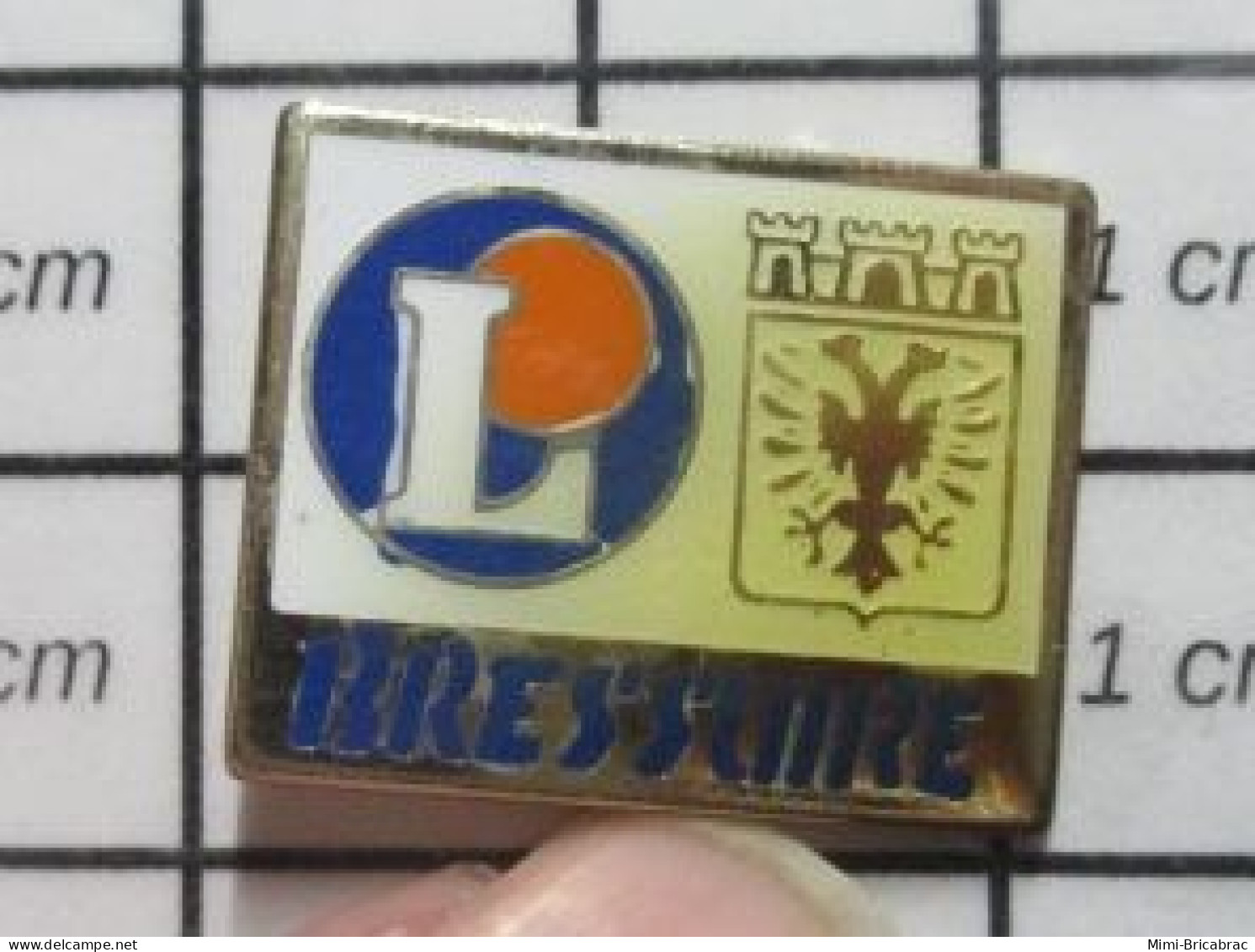 1920 Pin's Pins / Beau Et Rare / MARQUES / MAGASIN LECLERC BRESSUIRE - Trademarks