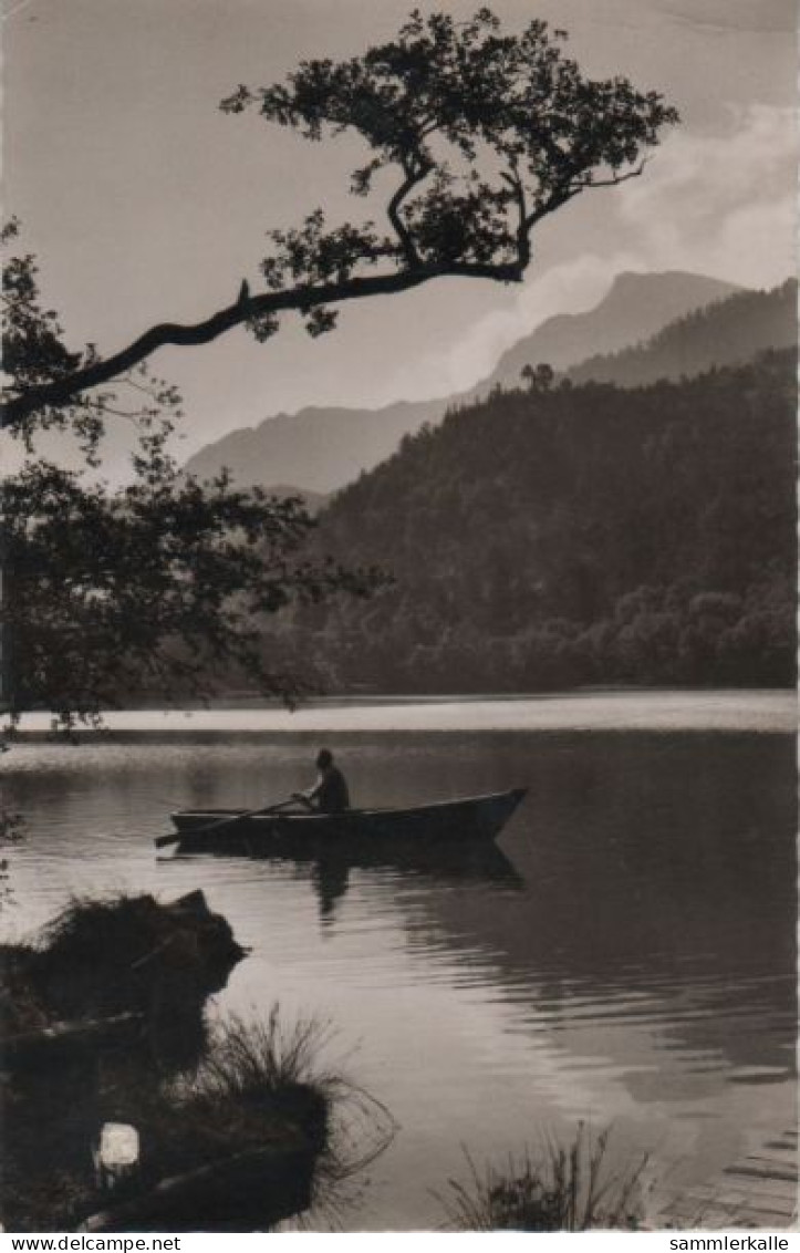 41109 - Bad Reichenhall - Thumsee - 1962 - Bad Reichenhall