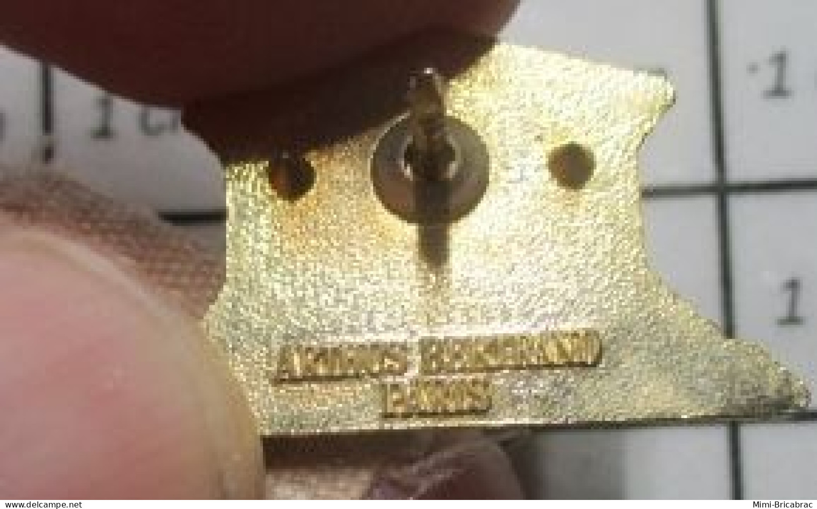 1920 Pin's Pins / Beau Et Rare / ARTHUS BERTRAND / ASSEMBLEE NATIONALE PALAIS BOURBON TOUT METAL JAUNE - Arthus Bertrand