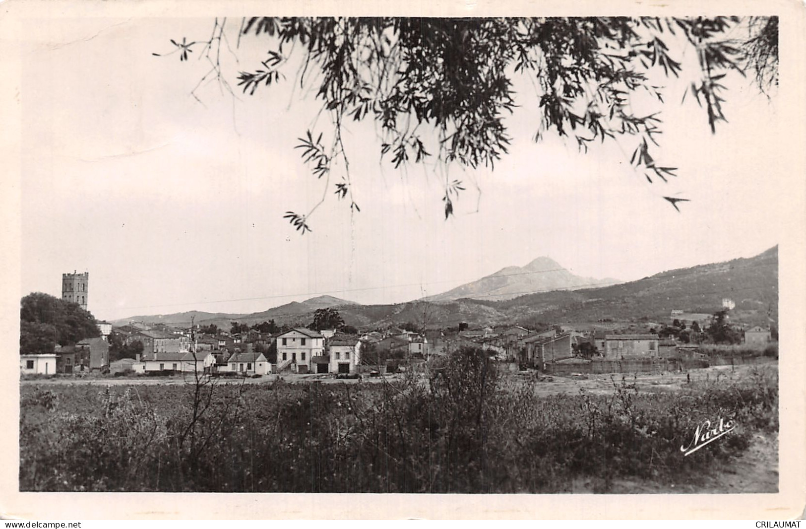 66-ARGELES SUR MER-N°T2923-G/0021 - Argeles Sur Mer